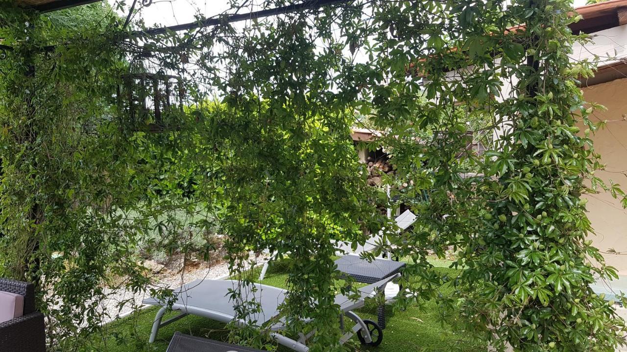 Gite Lapaz/Jacuzzi Prive/Piscine Draguignan Eksteriør billede